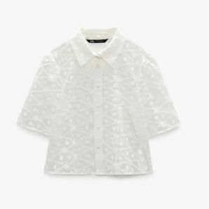 ZARA ザラ セミシアーエンブロイダリーシャツ