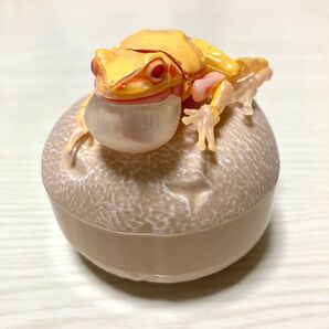 カエル アルビノ カプセルトイ ガチャ