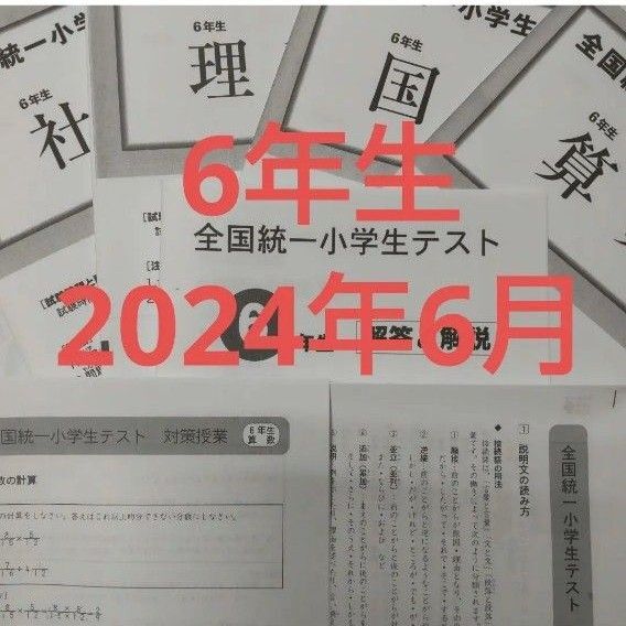 全国統一小学生テスト6年生