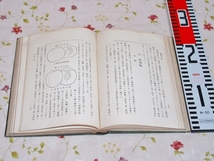 ★7/学校園の内容 全 佐々木祐太郎 成美堂書店 園芸 花壇 校庭の花園 果樹園_画像5