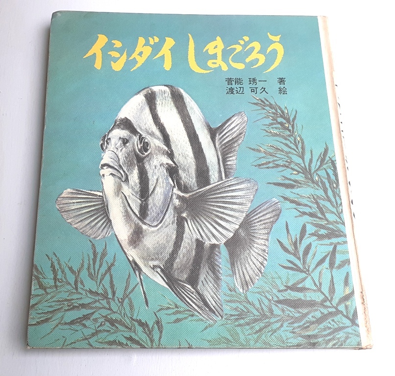 Amazon.co.jp: 石鯛倶楽部 2012年 1月号 (147) : 釣春秋: 本