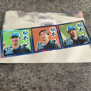 北海道日本ハムファイターズ 松本剛 フォトチップス