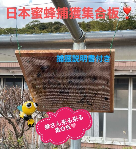日本蜜蜂を捕獲するのに実績のある集合板です! 約36cm角