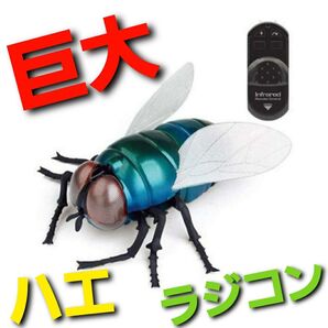 ~時限タイムセール~【新品未開封】赤外線RC ハエ ラジコン 蝿 巨大 トイラジコン 虫 キモい リアル