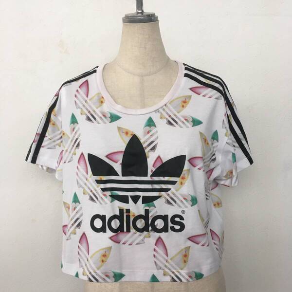 adidas アディダス レディース 大きいサイズ サーフボード柄 TシャツOT
