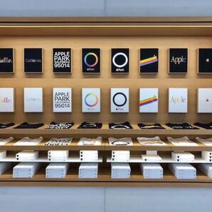Apple限定 tシャツ 企業T サンノゼ限定