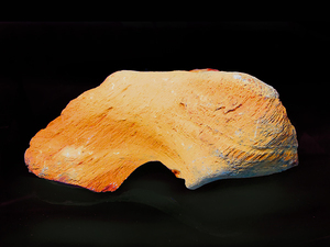 ■激レア品■ 自然石 木石 約1137g (北海道十勝産) 48-2 ■