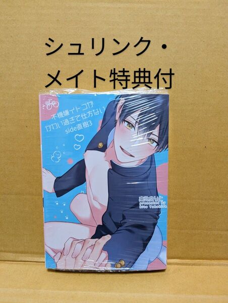 BLコミック 不機嫌イトコがかわい過ぎて仕方ない(3) 高比良りと
