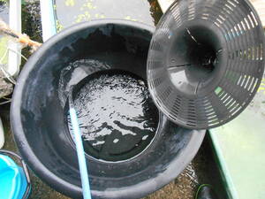 中古　軽量　植物生育強力鉢　大型鉢　メダカ　魚飼育　特殊鉢　水溜　分離網付　オーバーフロー用１穴　中蓋があるので使い方色々