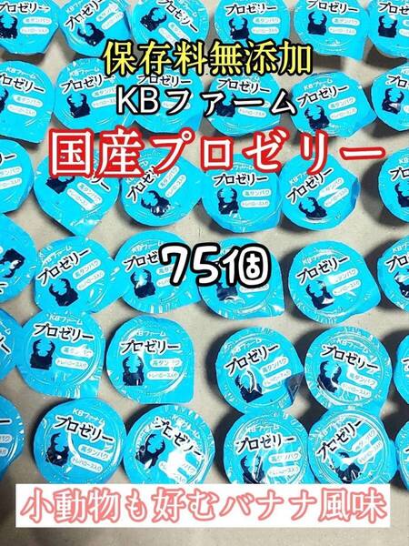 KBファーム 国産プロゼリー16g 75個 カブトムシ クワガタ 昆虫