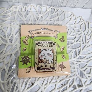 ちいかわ アドベンチャー アクリルクリップ あのこ お台場 冒険王 東京 うさぎ ハチワレ モモンガ クリップ