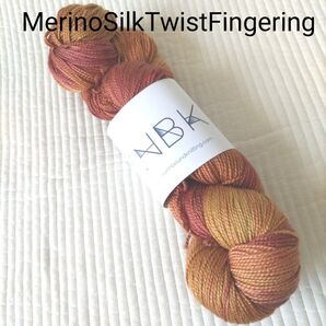 Northbound Knitting MerinoSilkTwistFingering/NBK/手染め毛糸/ 海外毛糸