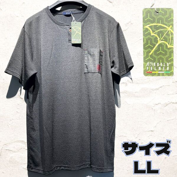 ◇アーノルドパーマー◇胸ポケット◇ボタン◇ヘンリーネック◇Tシャツ◇サイズLL◇