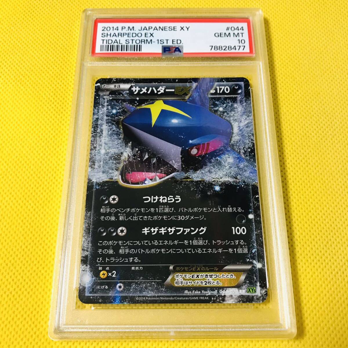Yahoo!オークション -「サメハダーex」の落札相場・落札価格 Yahoo!オークション -「サメハダーex」の落札相場・落札価格