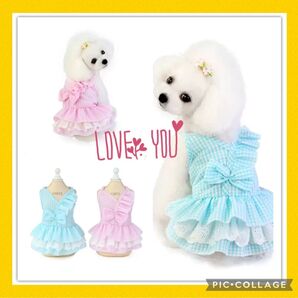 わんちゃんかわいいギンガムチェックフリルワンピース