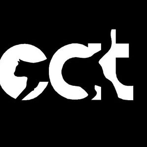 猫 CAT ステッカー