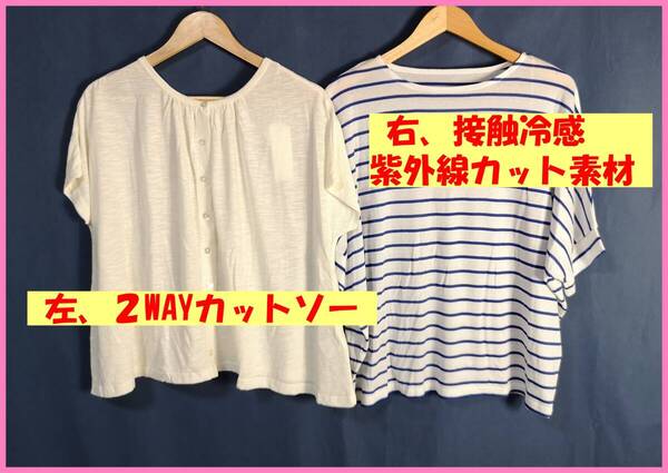 TSET‐388☆夏☆新品☆送料込み☆即決☆ナチュラル系☆Tシャツ素材☆2枚セット☆M~Lサイズ☆Tシャツ☆クリーム色とブルー系