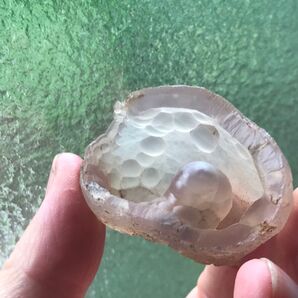 ゴビ石−1276 ゴビ瑪瑙 原石