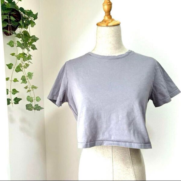 ★Dazy/LESS★クロップTシャツ ショート丈 Tシャツ グレー M