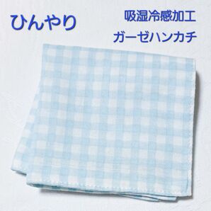 吸湿冷感加工ガーゼハンカチ 20cm水色