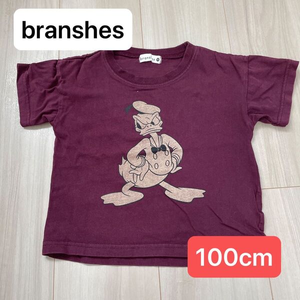 【100cm】ブランシェス BRANSHES 100 Tシャツ 半袖 半袖T 半袖Tシャツ