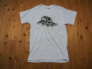 ローザ・ルクセンブルグ ROSA LUXEMBURG Tシャツ 1987.8.5 LAST LIVE時のVIDEO販促品 未使用ですが難あり HANESのTシャツ