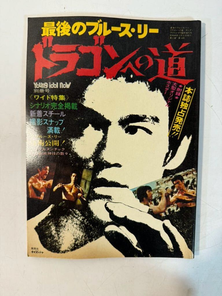 2025年最新】Yahoo!オークション -ブルースリー 本の中古品