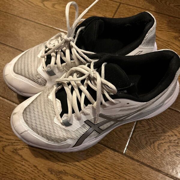 アシックス バレーボールシューズ GEL-TACTIC 25cm