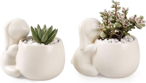 ミニ陶器鉢 多肉植物 鉢 植木鉢 プランター 底穴あり 2点 ミニ観葉植物