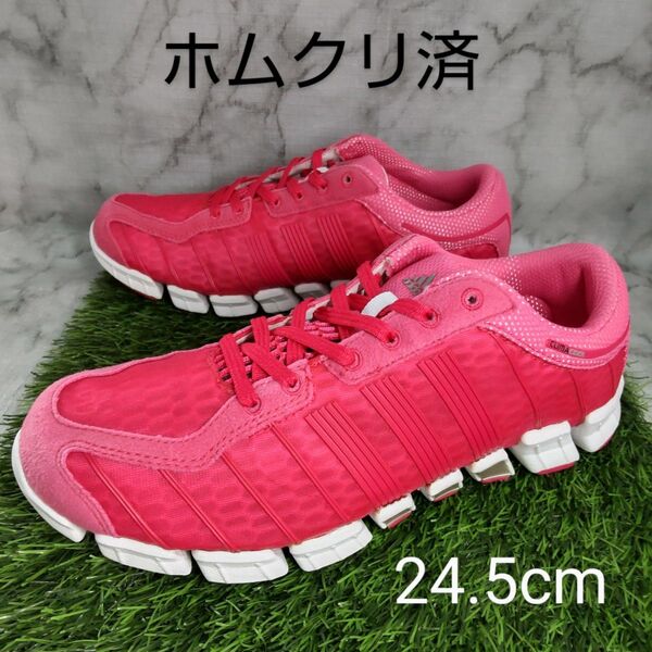 【adidas】アディダス クライマクール ライド 24.5cm 濃桃