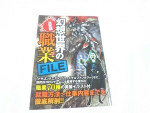 幻想世界の職業(ジョブ)FILE 決定版 聖騎士竜使いなど魅惑のジョブ70連発＋α!! ドラゴンクエスト ファイナルファンタジー 9784054041219