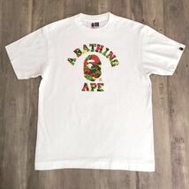 ★激レア★ psyche camo college logo Tシャツ Mサイズ サイケ a bathing ape bape エイプ ベイプ アベイシングエイプ sta camo サイケカモ_画像1