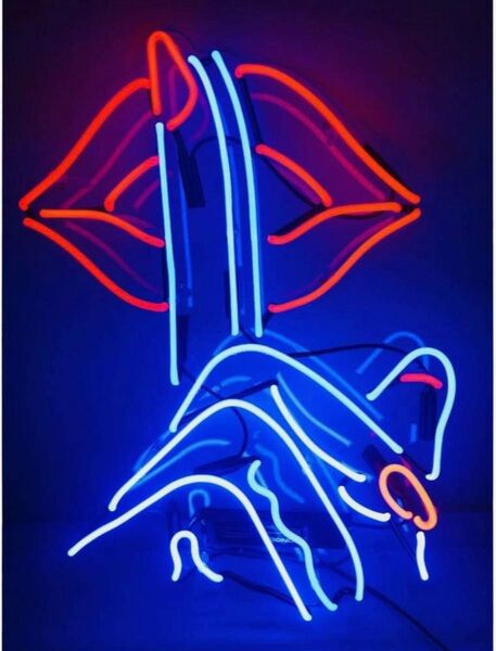 オーダーメイド ネオンサイン NEON SIGN インテリア ネオン管 広告看板 内緒 オリジナル おしゃれ order neon