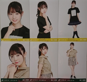 乃木坂46　生写真　６種コンプ 全ツ2019愛知Tシャツ 　サファリルック 　阪口珠美