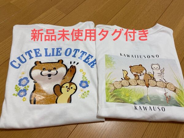 最終値下げ 新品 可愛い嘘のカワウソtシャツ 白 2枚セット M