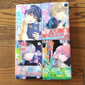 誰か夢だと言ってくれ みっしぇる ①〜④巻