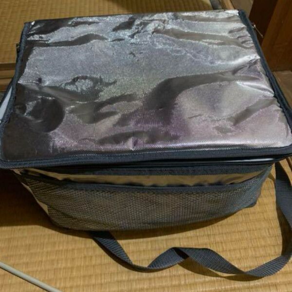 保冷バッグ アウトドア キャンプ 海
