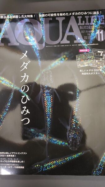 月刊アクアライフ 2021年11月号 (エムピージェー)