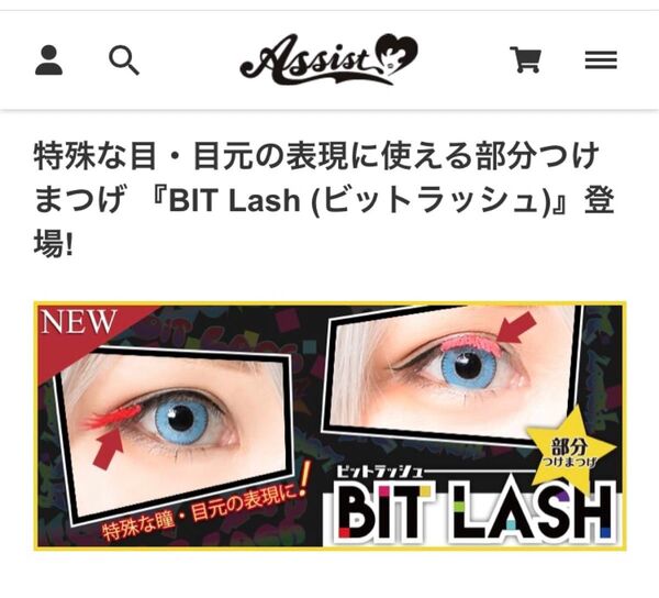 【未使用】 アシスト ビットラッシュ 部分 つけま アシスト コスメ