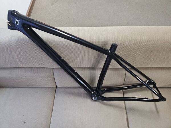 未使用 カーボン 29ER Mサイズ ハードテイル ブースト carbon EPIC