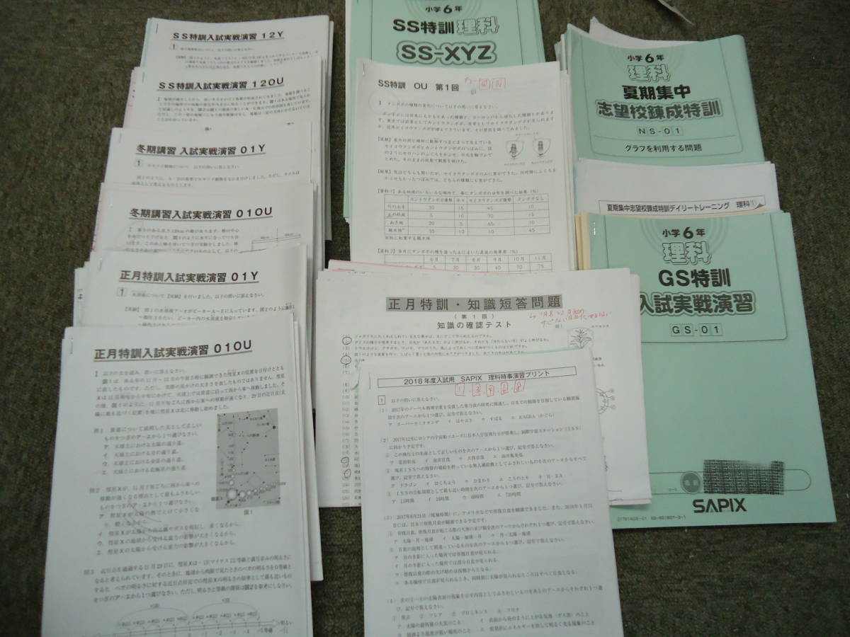 手数料安い サンデーサピックス難関校ＳＳ特訓 ６年 理科 フェリス