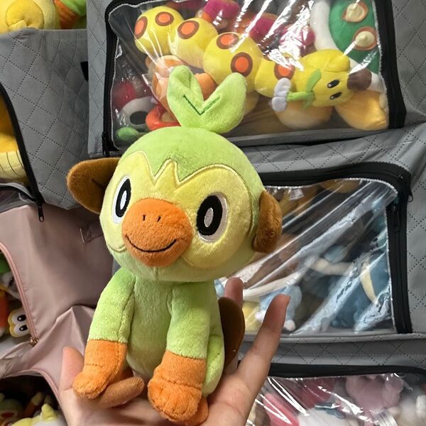 ぬいぐるみ ポケモン サルノリ ポケットモンスター