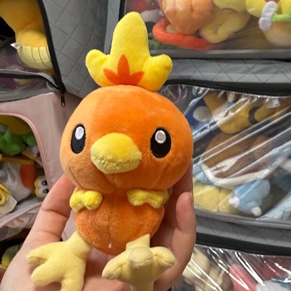 ぬいぐるみ アチャモ ポケモン ポケモンセンター