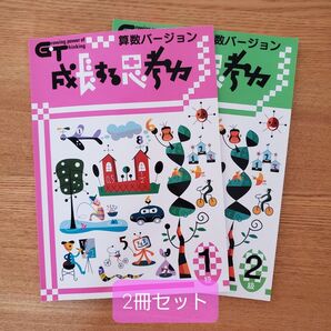成長する思考力 算数バージョン 1級2級 2冊セット