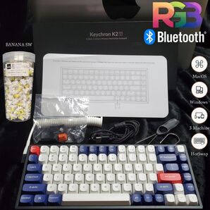 【美品】フルカスタムKeychron K2 Ver2RGB バナナ軸リブ済