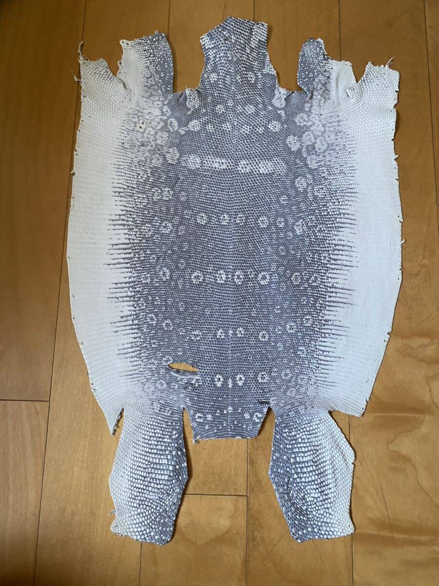 2025年最新】Yahoo!オークション -リザード(ビリヤード)の中古品 2025年最新】Yahoo!オークション -リザード(ビリヤード)の中古品