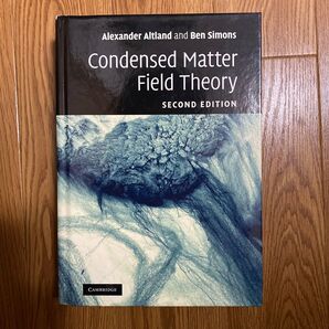 Condensed Matter Field Theory