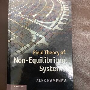 Field Theory of Non-Equilibrium Systems