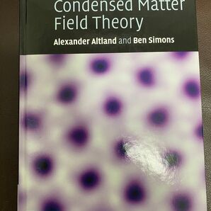 Condensed Matter Field Theory