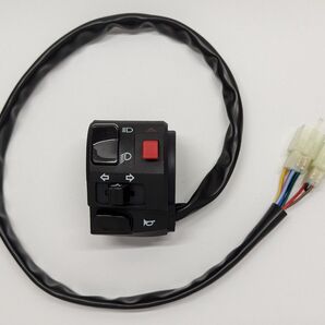 ◆ボルトオン・取付説明書付◆ ゼファー400(1991~1992年式)用 ZXタイプ(DAEGタイプ)・左スイッチボックス